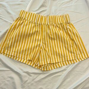 AYR Staycation Shorts